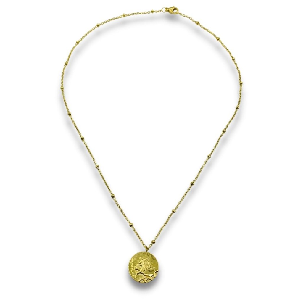 Stainless steel "LEO" necklace