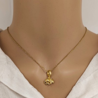 Thin Necklace stainless steel