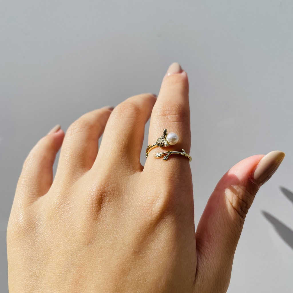 Stainless steel adjustable ring