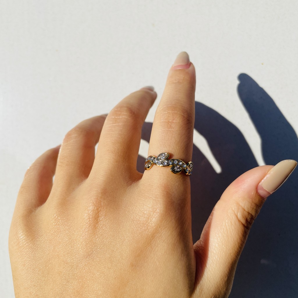 Stainless steel adjustable ring