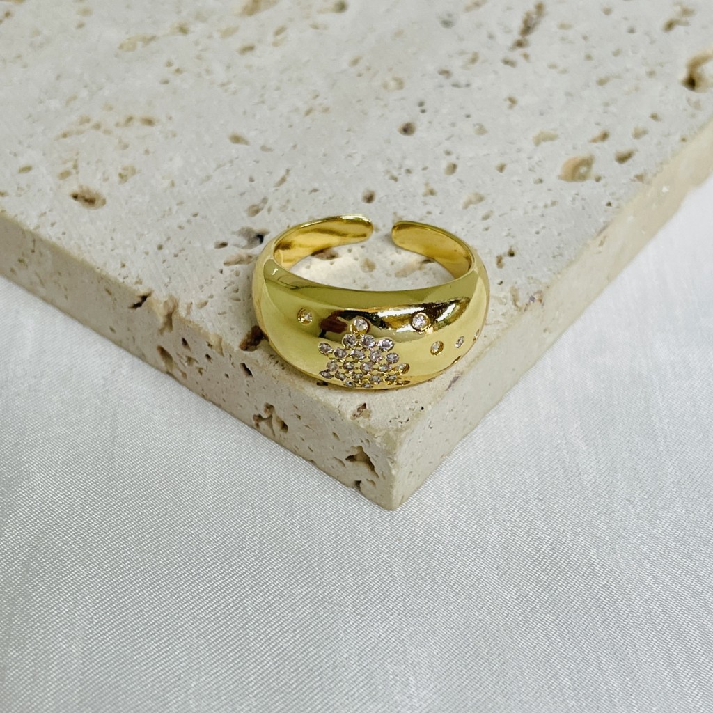 Stainless steel adjustable ring