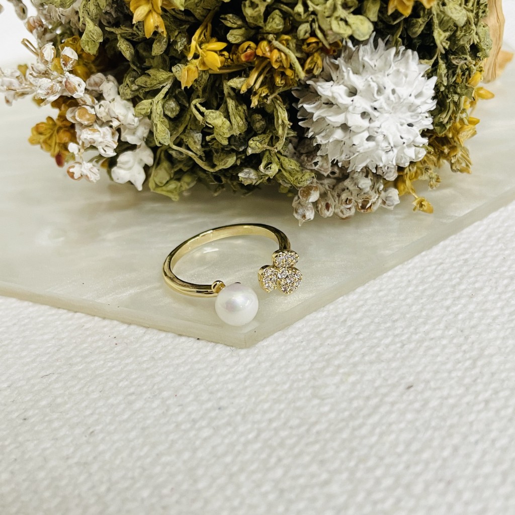 Stainless steel adjustable ring