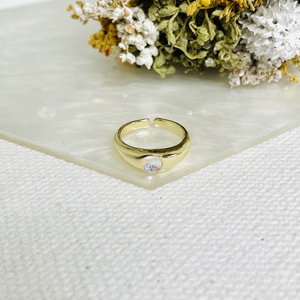 Stainless steel adjustable ring