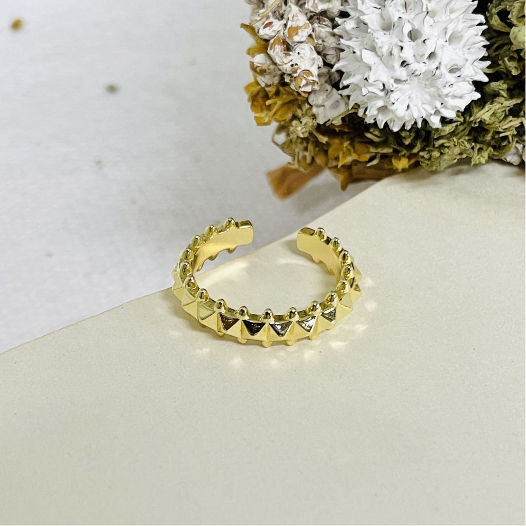 Stainless steel ring