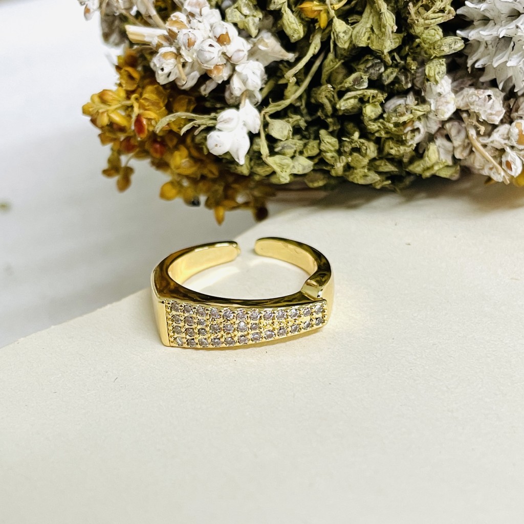 Stainless steel ring