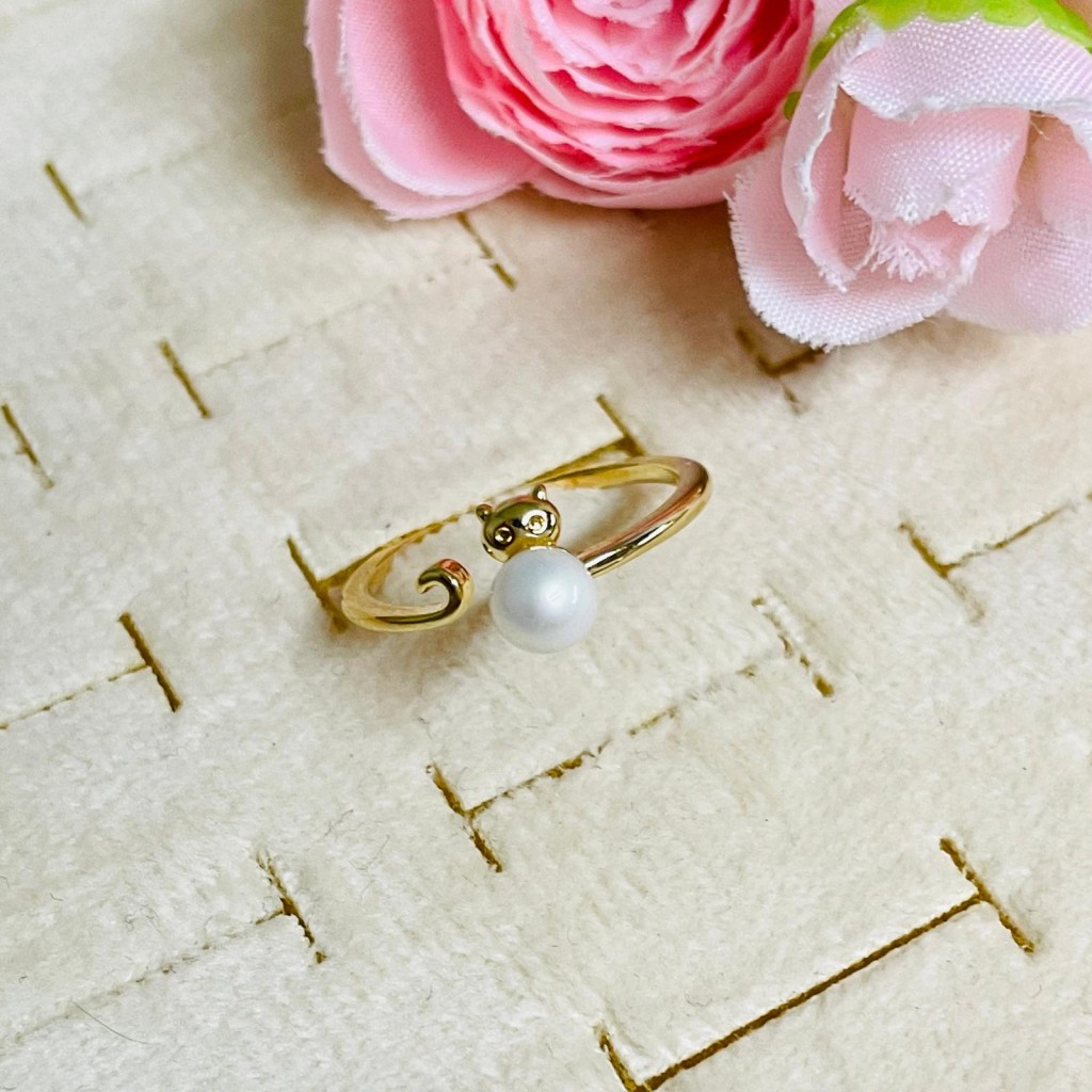 Stainless steel ring