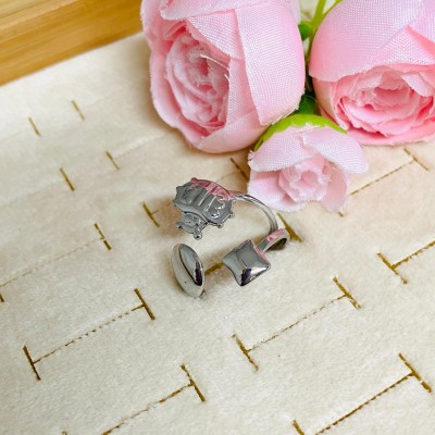 Stainless steel ring