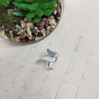 Stainless steel ring