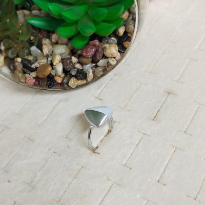 Stainless steel ring